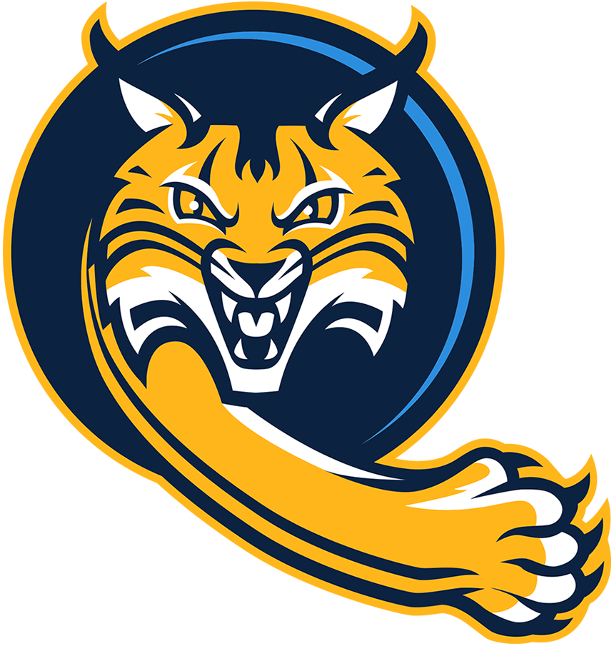 Quinnipiac Bobcats 2019-Pres Alternate Logo 03 iron on paper